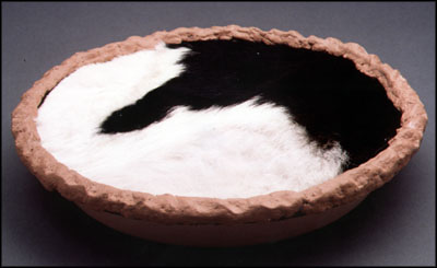 [image: A cow skin pie]