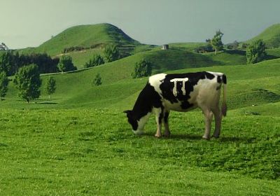 [image: A dairy cow with a pi pattern on its side.]