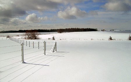 [snow-covered field]