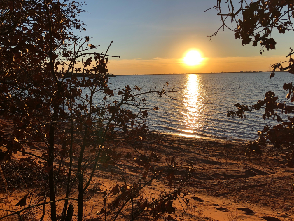 Lake's Edge in Winter